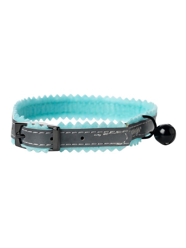 Dogman Collar Siri Turkis