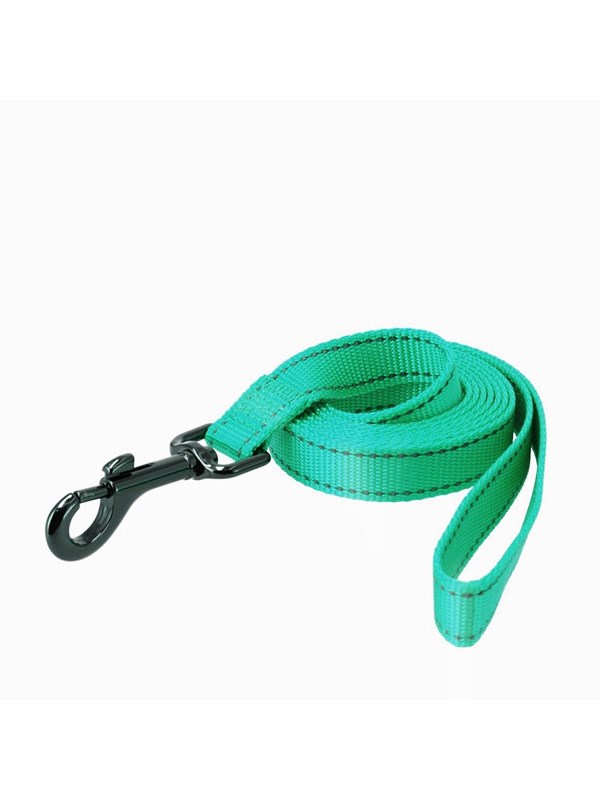 Dogman Reflective Nylon Dog Leash Iris Turquoise M 20mm 180cm