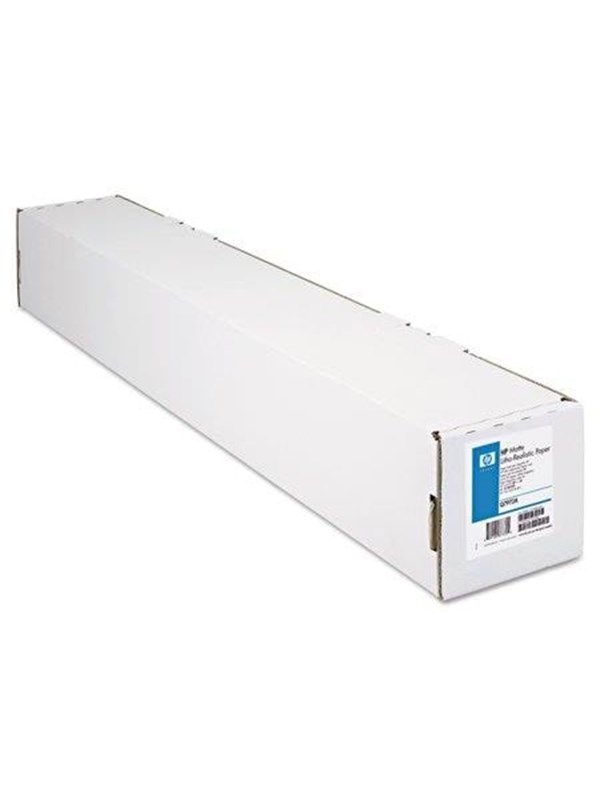HP - litho-realistic paper - matte - 1 roll(s) - Roll (61 cm x 30.5 m)