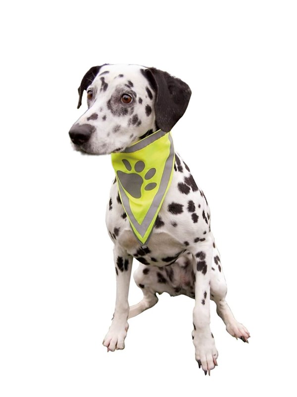 Trixie Veiligheidsbandana voor honden L-XL 43-60cm