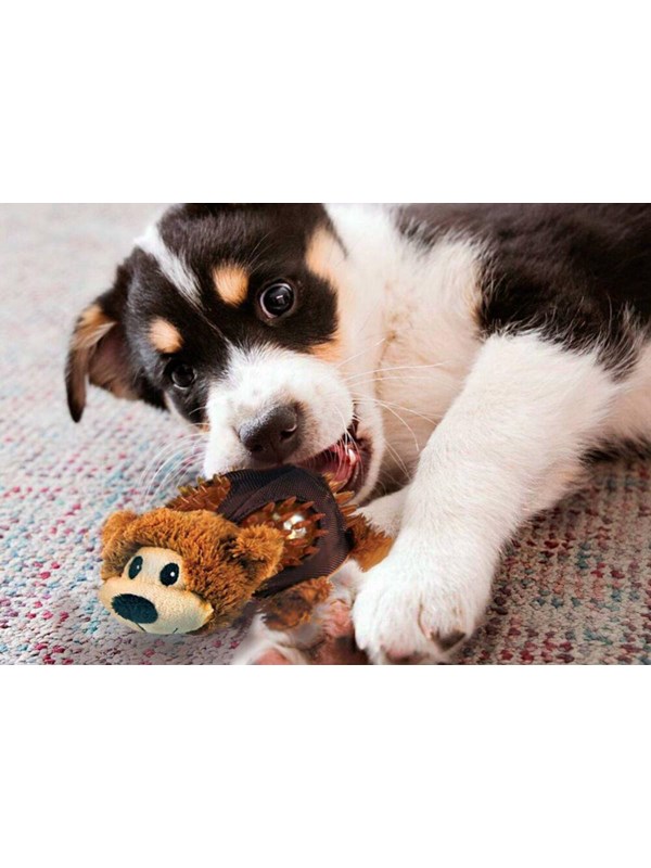 KONG Dog Toy Shells Bear 14cm