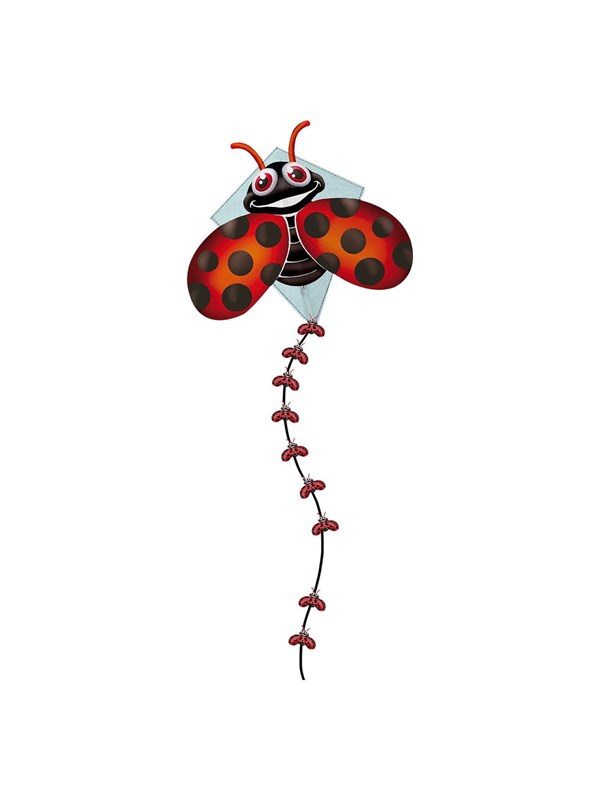 Kites Ready 2 Fly - Pop-up Nylon Vlieger Lieveheerstbeestje