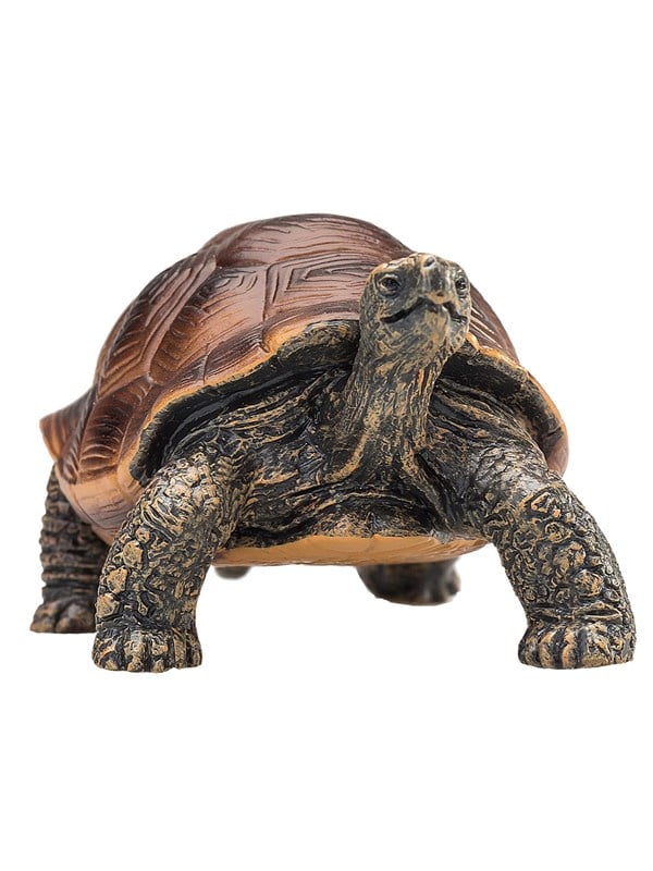 Mojo Wildlife Reuzenschildpad - 387259