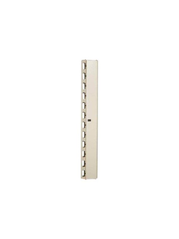 DIGITUS Professional Line DN-19 ORG-42U - rack cable management panel - 42U
