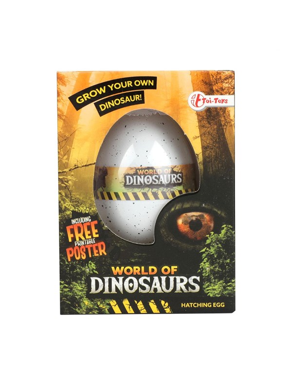 Toi-Toys Dinosaur growth egg (Assorted)