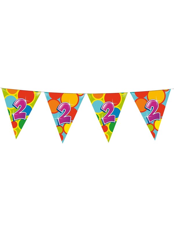 Haza Vlaggetjes - 2 jaar - leeftijd verjaardag - plastic - 10 meter