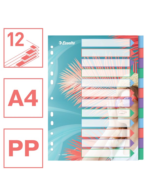 Esselte Colour'Breeze A4 Tabbladen, 12 Tabs, PP