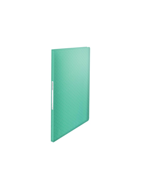 Esselte Colour'Breeze Showalbum met 40 hoezen Groen