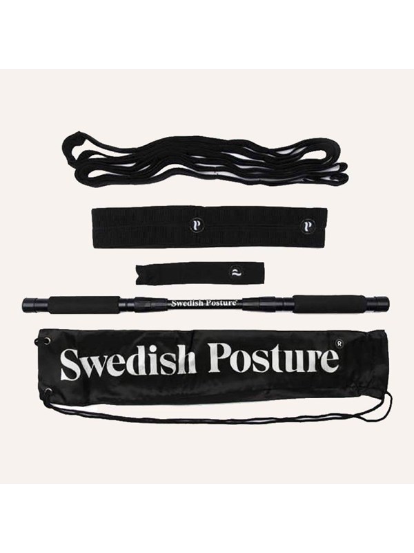 Swedish Posture Mini Gym