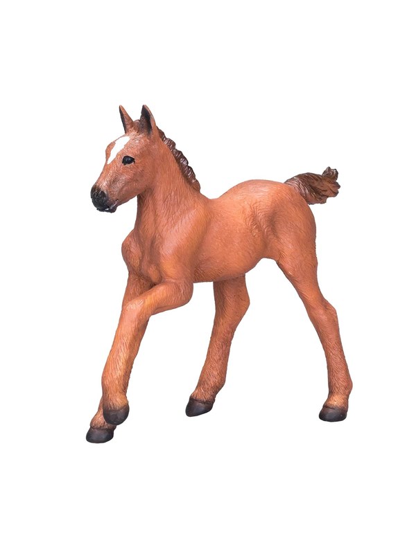 Mojo Horse World Arabisch Veulen Bruin- 381019