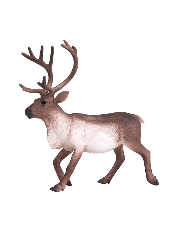 Mojo Wildlife Reindeer