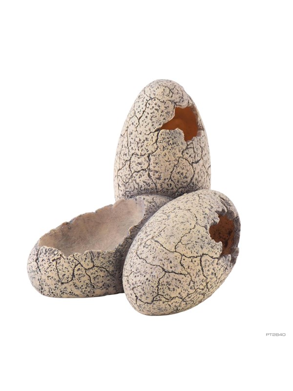 EXO TERRA Dinosaur Egg S