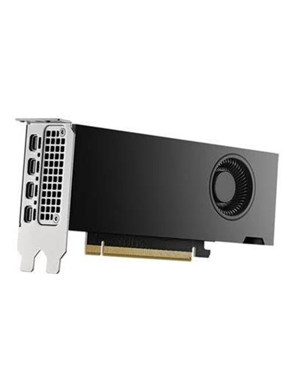 Dell RTX 2000 Ada - 16GB GDDR6 RAM - Grafische kaarten