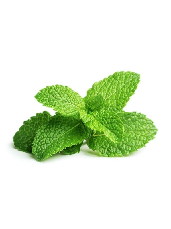 Click & Grow Click and Grow - Smart Garden Refill 3-pack - Peppermint (SGR22X3)