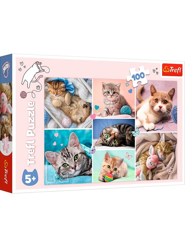 Trefl legpuzzel kattenwereld 100 stukjes karton kleurrijk.