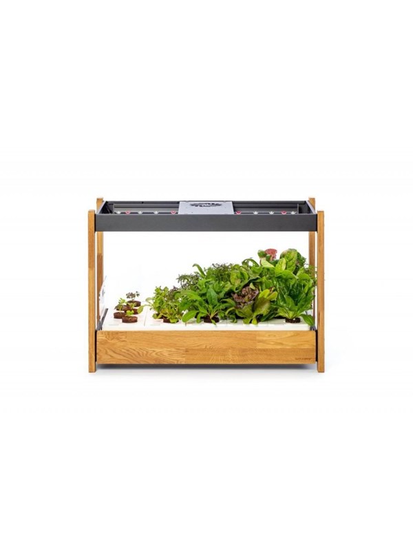 Click & Grow Click and Grow 25 - Black (Salad Greens 54x pack)