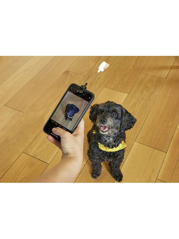 Kikkerland Selfie clip - Voor bevestiging aan telefoon en hond