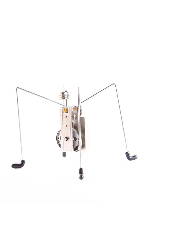 Kikkerland Wind Up Katita - Critter - Speelgoedrobot - Uniek cadeau