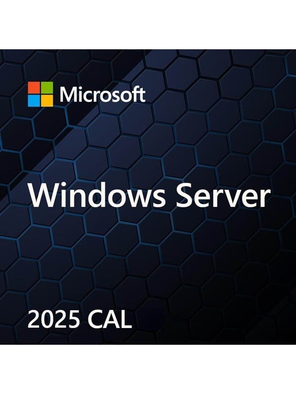 Microsoft Windows Server 2025 Standard Litouws