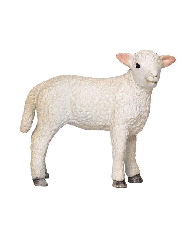 Mojo - Farmland Romney Lamb Standing - 381065