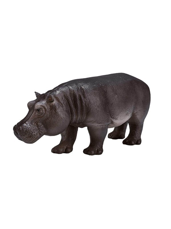 Mojo - Wildlife Hippopotamus Female