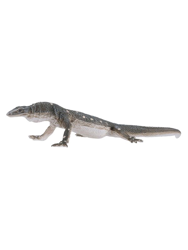 Mojo - Wildlife Perentie Lizard - 381061