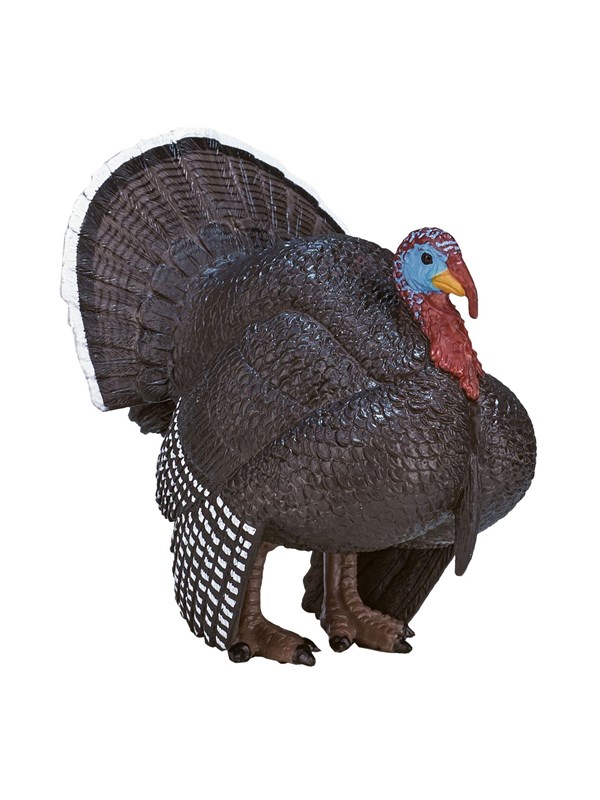 Mojo - Farmland Male Turkey