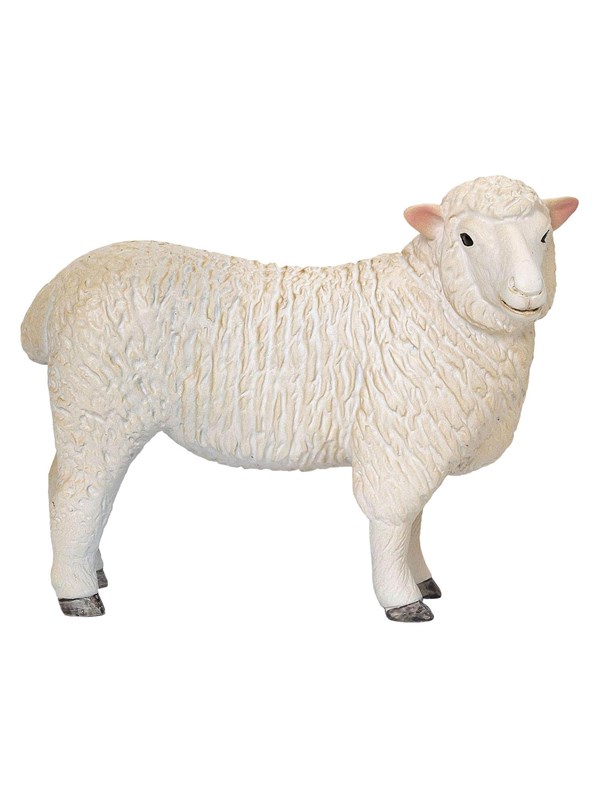 Mojo Farmland Romney Schaap Ooi - 381064