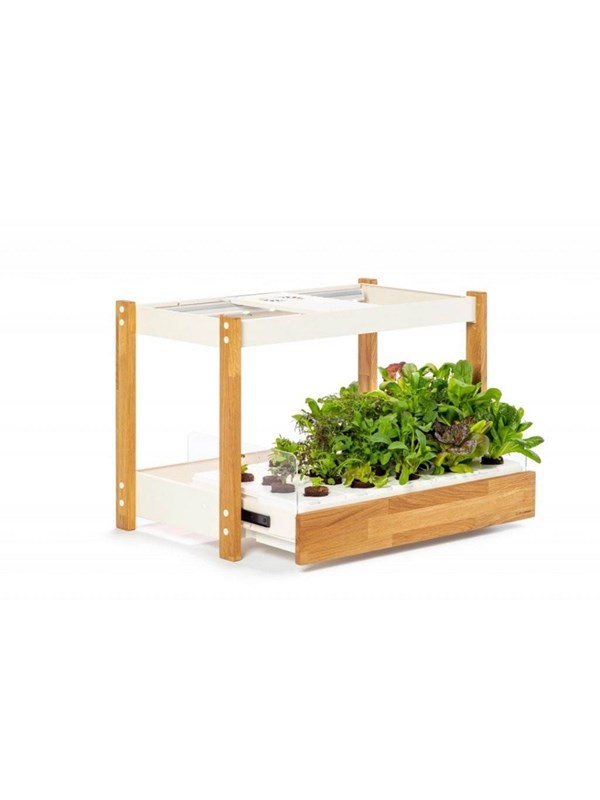 Click & Grow Click and Grow 25 - White (Salad Greens 54x pack)