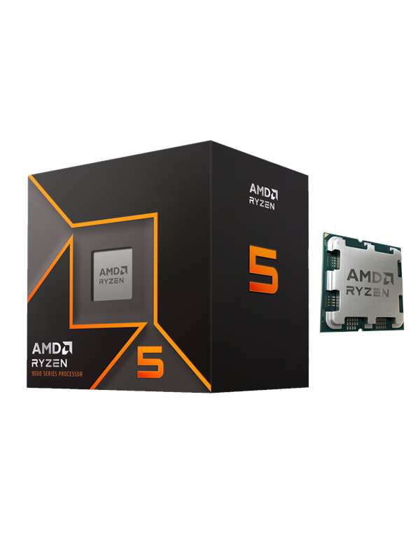 AMD Ryzen 5 9600 Wraith Stealth CPU - 6 kernen - 3.9 GHz - AMD AM5 - AMD Boxed (met koeler)