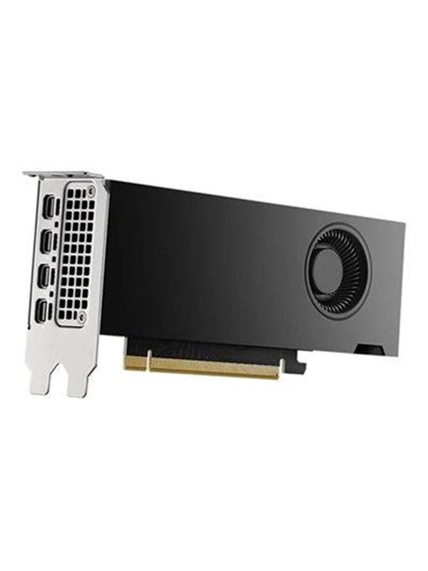 Dell RTX 2000 Ada - 16GB GDDR6 RAM - Grafische kaarten