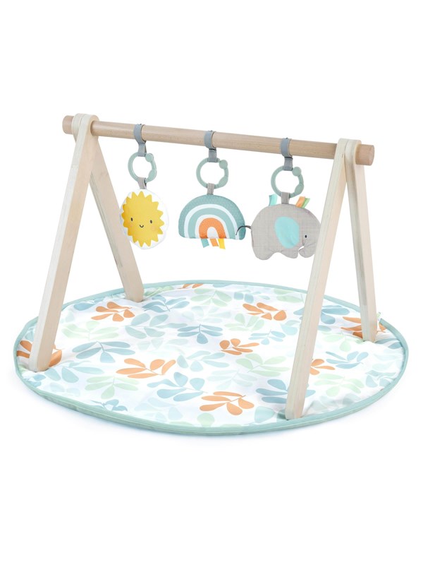 Baby activity gym sun valley - Ingenuity - vanaf 0 maanden