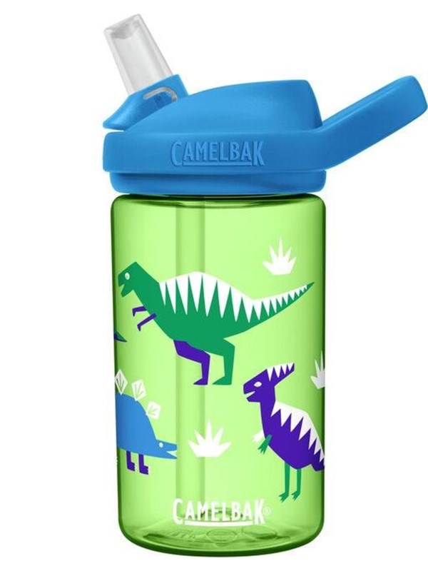 Camelbak Drinking bottle