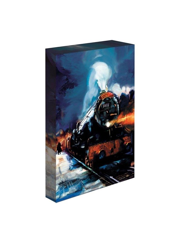 Pyramid - Light Up Canvas Harry Potter (Hogwarts Express) 30x40 - Afbeelding
