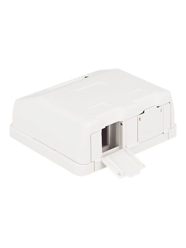 DeLOCK Keystone Surface Mounted Box