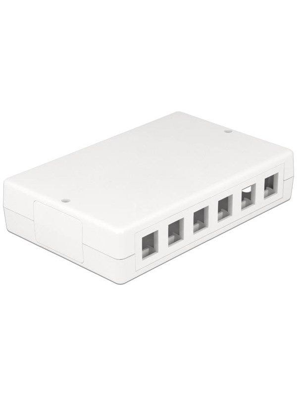 DeLOCK Keystone Surface Mounted Box 12-Port