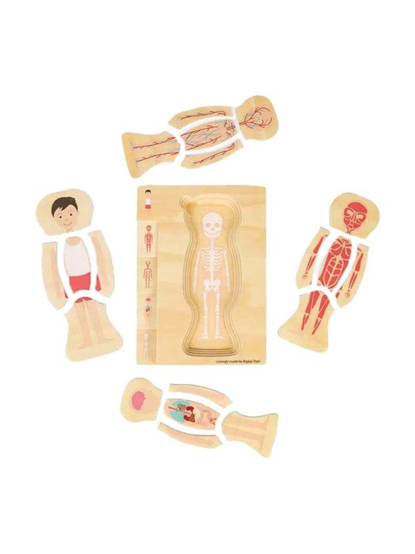 Bigjigs Houten Anatomiepuzzel - Jongen, 26st.