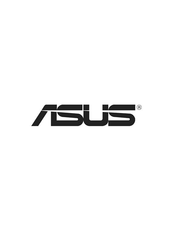 ASUS - network adapter - 2.5GBase-T x 1