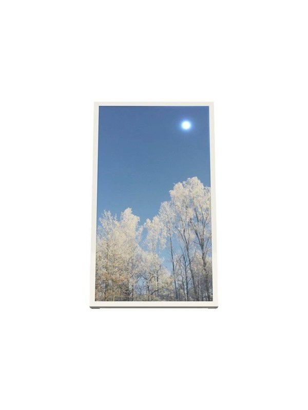 HI-ND EASY mounting kit - for digital signage LCD panel - portrait - white RAL 9003 - Max - recommended for 55"