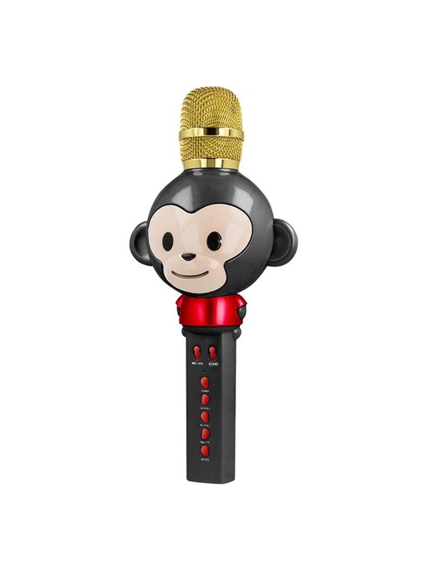 Maxlife MX-100 Bluetooth Microphone With Speaker Black