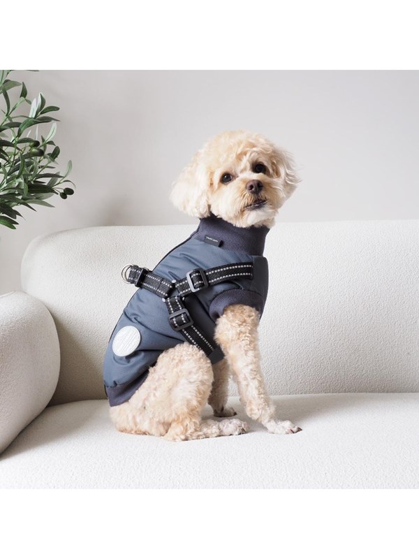 Nordic Paws - Dogcoat Thor with harness 40cm - Anthracite M