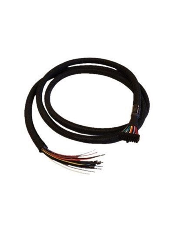 CradlePoint - GPIO cable - 20 pin dual row Molex to bare wire - 1.98 m