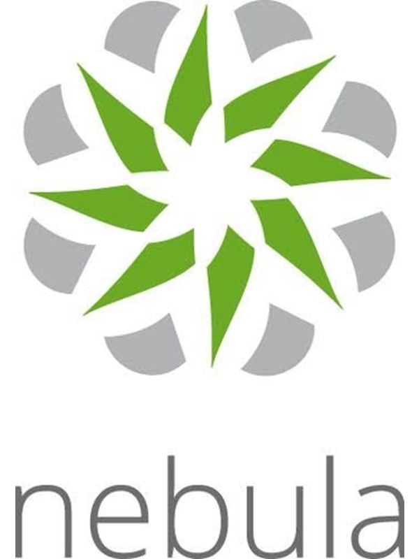 ZyXEL Nebula Professional Pack