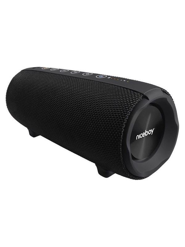 Niceboy RAZE 4 Titan 50W IP7X Bluetooth Speaker