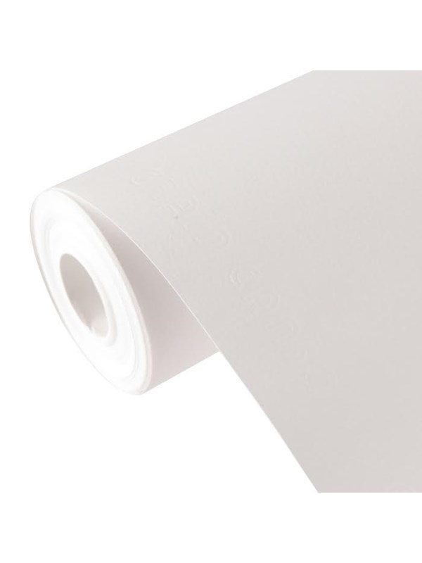 Canson C Á grain FG 0.75x10 m 180G Roll