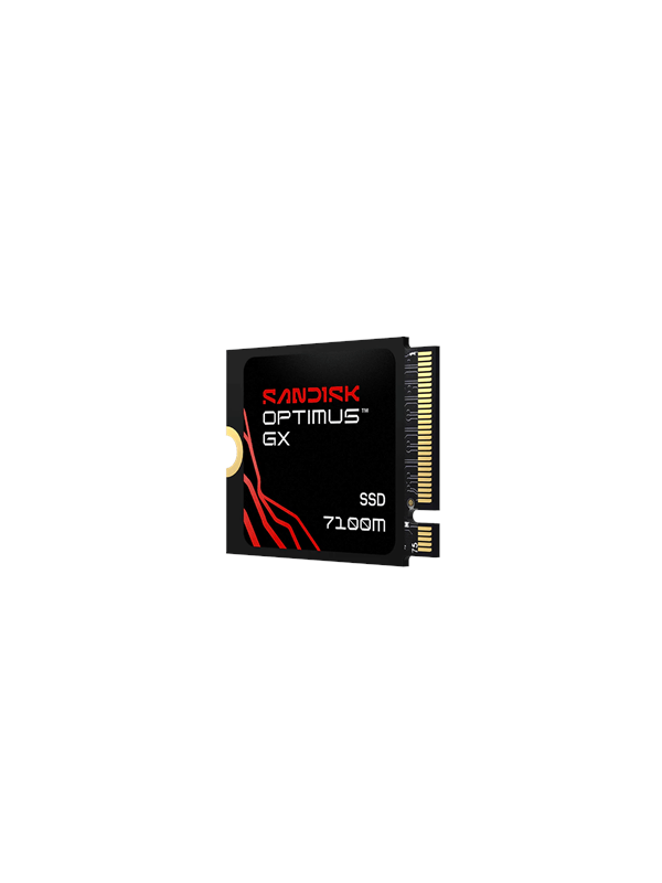 SANDISK Optimus GX 7100M SSD - 2TB - PCIe 4.0 - M.2 2230