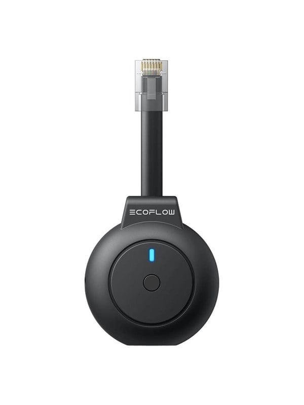 EcoFlow P1 Dongle Smart Meter