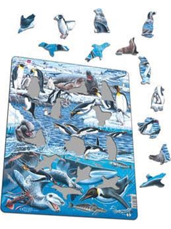 Larsen Puzzles Puzzle Antarctica - 66 pieces Maxi (36.5x28.5cm) Vloer