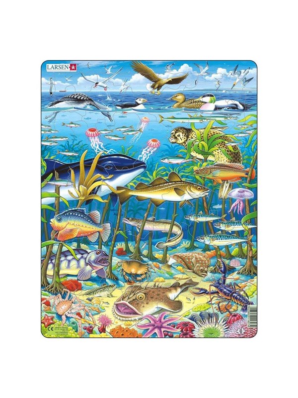 Larsen Zeedieren in de Noord Atlantische Oceaan – Puzzel – Dieren – Zeedieren – Educatieve legpuzzel voor kinderen – 60 stukjes – Gemaakt in Noorwegen – Extra dikke 2,5 mm stukjes – Tray met vaste rand