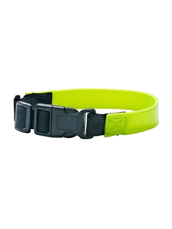 Dogman 260700 dog/cat collar